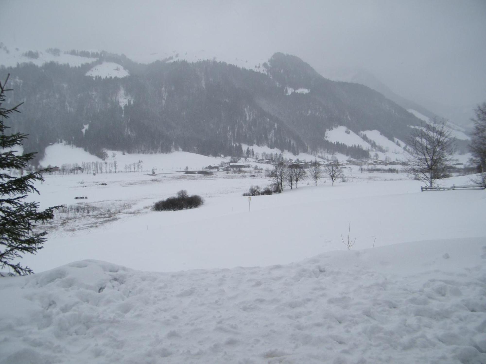 Hinterankerwald Walchsee Exterior foto