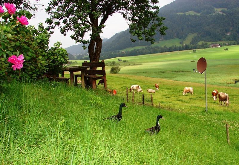 Hinterankerwald Walchsee Exterior foto
